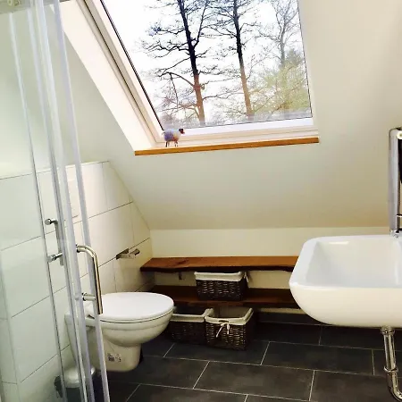 Storchennest Am Duemmer アパート レンブルッフ