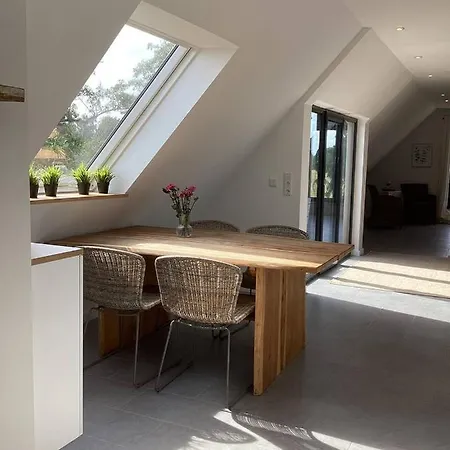 Storchennest Am Duemmer