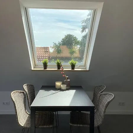 Storchennest Am Duemmer レンブルッフ