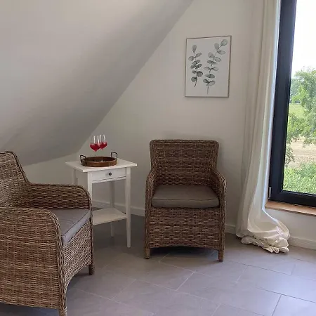 Storchennest Am Duemmer