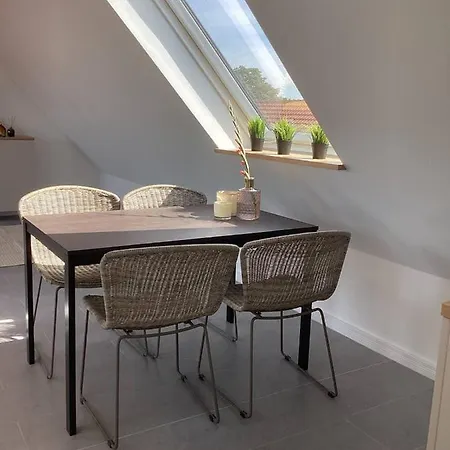 Storchennest Am Duemmer